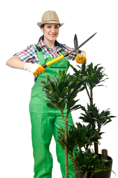 Mulher jardineiro planos de corte em branco — Fotografia de Stock