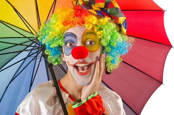 Grappige clown op de witte — Stockfoto