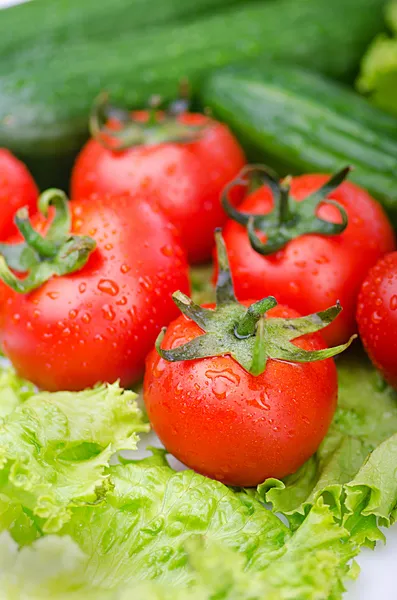 Tomates e pepinos prontos para salada — Fotografia de Stock