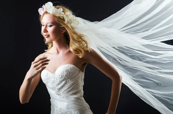 Bride in white dress in studio — Stock Photo, Image