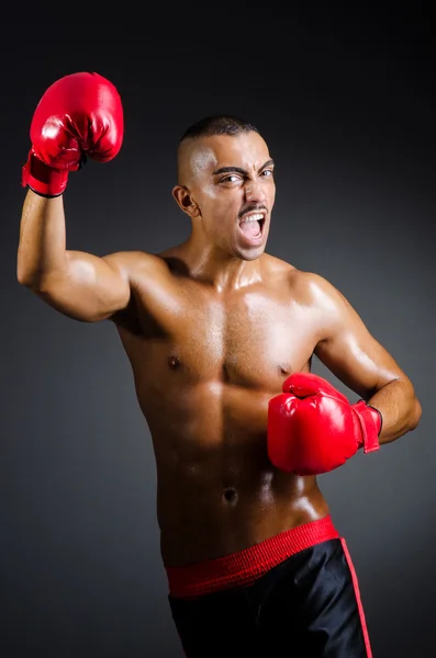 スタジオ撮影で筋肉のボクサー — ストック写真