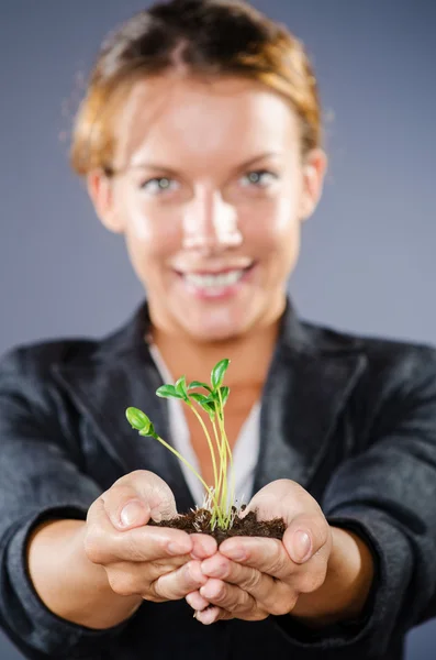 Affärskvinna med plantor och mynt — Stockfoto