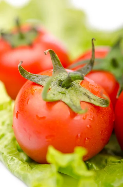 Pepinos y tomates listos para ensalada — Foto de Stock