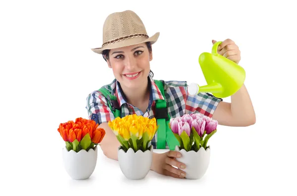 Fille arrosage des plantes sur blanc — Photo