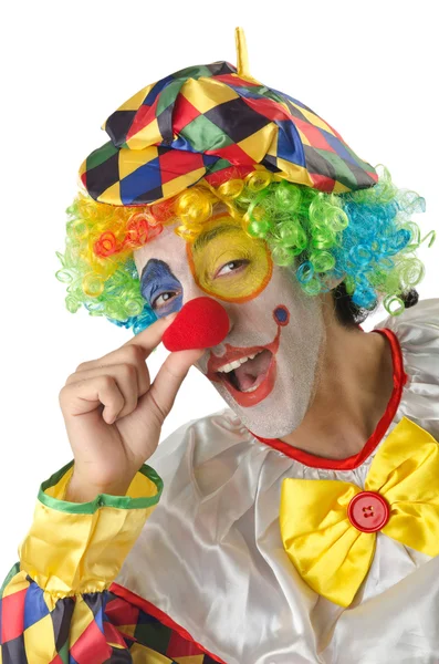 Grappige clown op de witte — Stockfoto