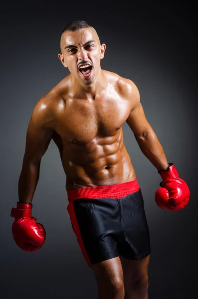 Boxer muscolare nelle riprese in studio — Foto Stock