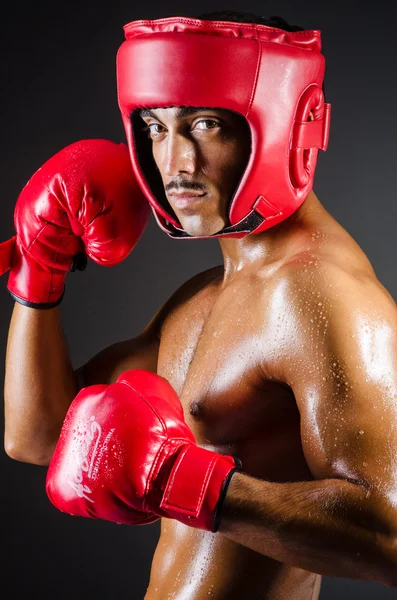 Muskulös boxare i studio fotografering — Stockfoto