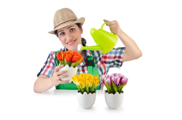 Menina regando plantas em branco — Fotografia de Stock