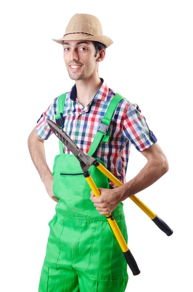 Hombre jardinero con tijeras en blanco — Foto de Stock