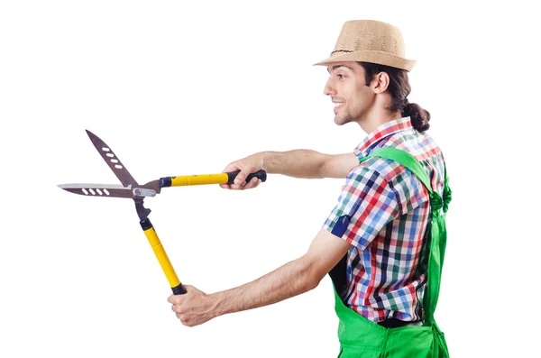 Hombre jardinero con tijeras en blanco —  Fotos de Stock