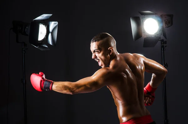 Boxer et lumières de studio — Photo