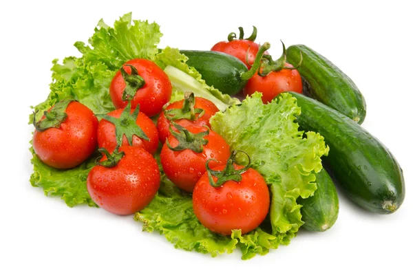 Salatbereite Gurken und Tomaten — Stockfoto