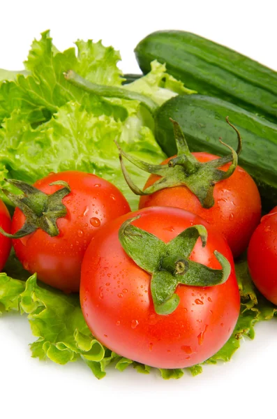 Pepinos e tomates prontos para salada — Fotografia de Stock