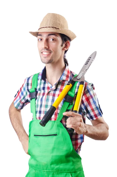 Человек садовник с ножницами на белом — стоковое фото