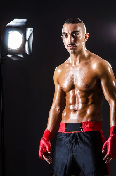 Boxer and studio lights — Stock Photo, Image