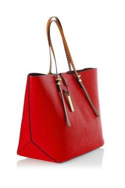 Beyaz tenli zarif kadın çantası.