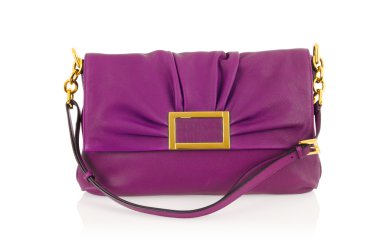 Beyaz tenli zarif kadın çantası.