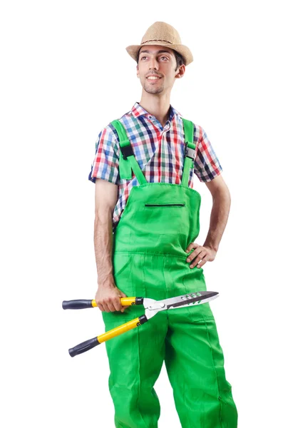 Człowiek ogrodnik z nożycami na białym — Zdjęcie stockowe