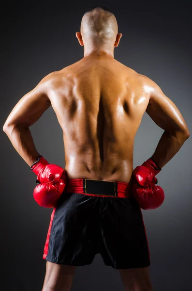 Muscular boxer in studio shooting — Stock Photo, Image