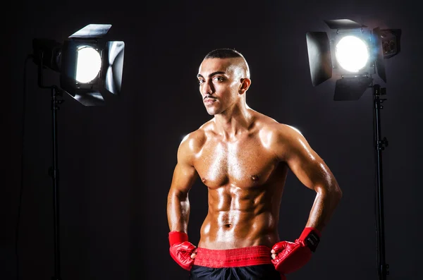 Boxer and studio lights — Stock Photo, Image