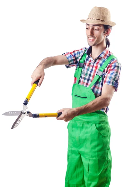 Muž zahradník s nůžkami na bílém — Stock fotografie
