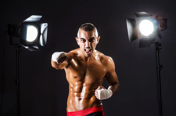 Boxer and studio lights — Stock Photo, Image