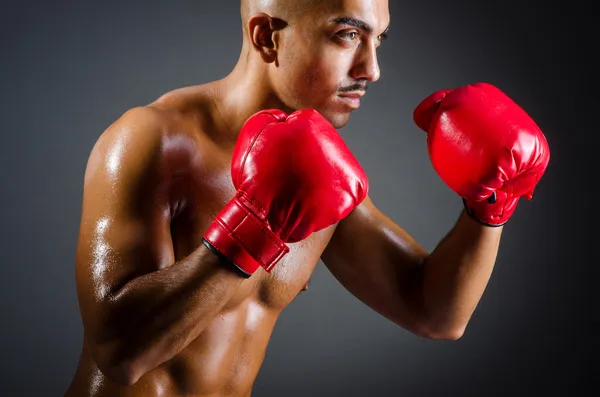 Boxer muscolare nelle riprese in studio — Foto Stock