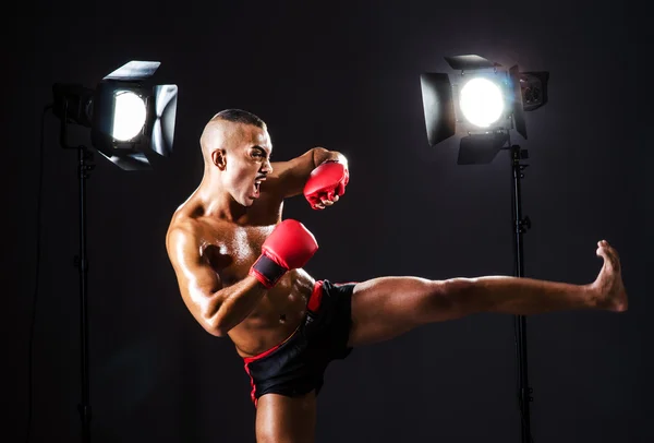 Boxer e estúdio luzes — Fotografia de Stock