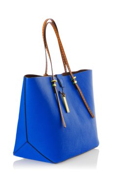 Beyaz tenli zarif kadın çantası.