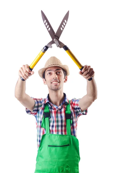 Человек садовник с ножницами на белом — стоковое фото