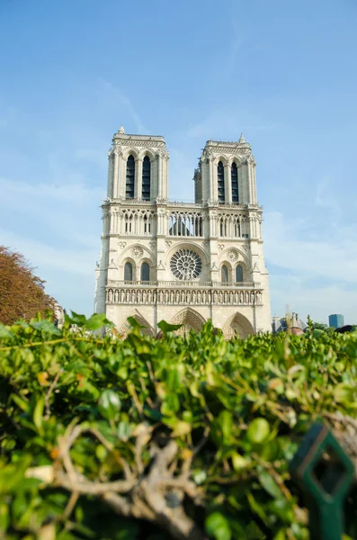 Catedral de Notre Dame de París en el día de verano — Foto de Stock