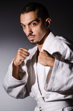 Karate dövüş sanatları savaşçı