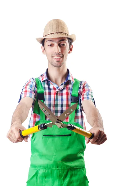 Man gardener with shears on white — Stock Photo, Image