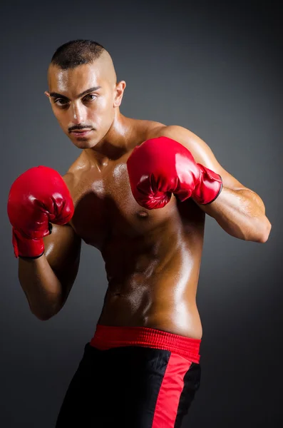 Boxer muscular em estúdio de tiro — Fotografia de Stock