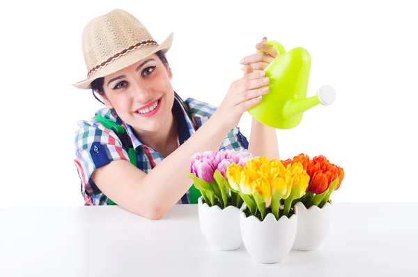 Mädchen gießt Pflanzen auf Weiß — Stockfoto