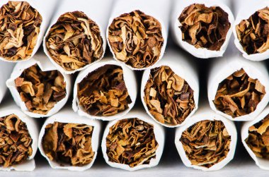 Sigara Tütün yakın çekim