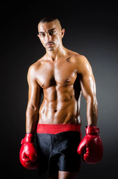 Boxeador muscular en el estudio de tiro —  Fotos de Stock