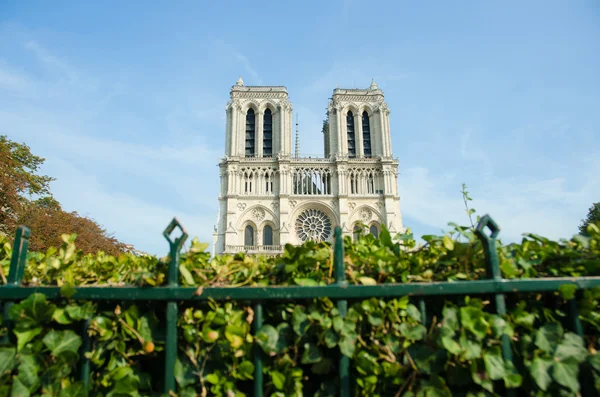 Catedral de Notre Dame de París en el día de verano — Foto de Stock