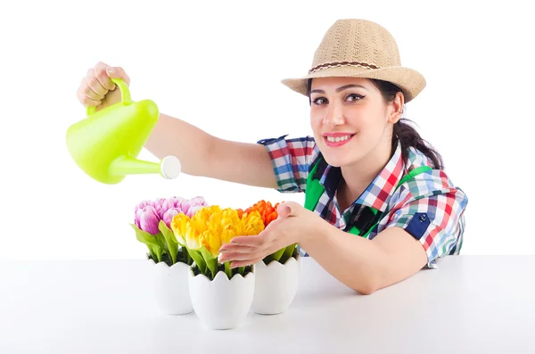 Дівчина поливає рослини на білому — стокове фото