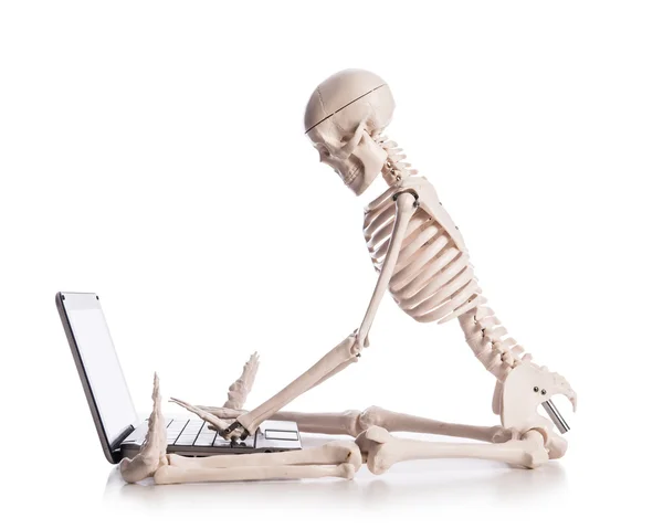 Skeleton working on laptop — Stock Photo, Image