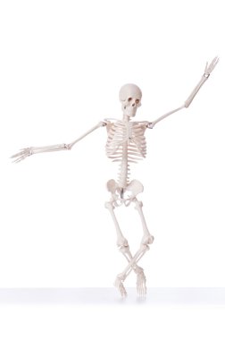 Beyaz arkaplanda iskelet izole edilmiş.