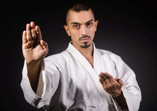 Karate luchador de artes marciales —  Fotos de Stock