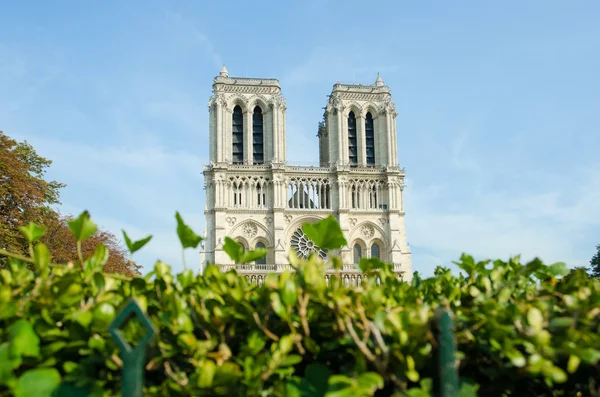 Notre dame de paris katedrála v letní den — Stock fotografie