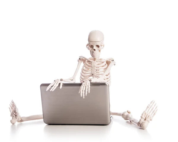 Skeleton working on laptop — Stock Photo, Image