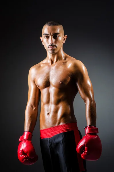 Muscular boxer in studio shooting — Stock Photo, Image