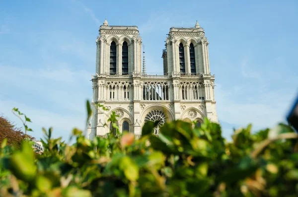 Catedral de Notre Dame de París en el día de verano — Foto de Stock