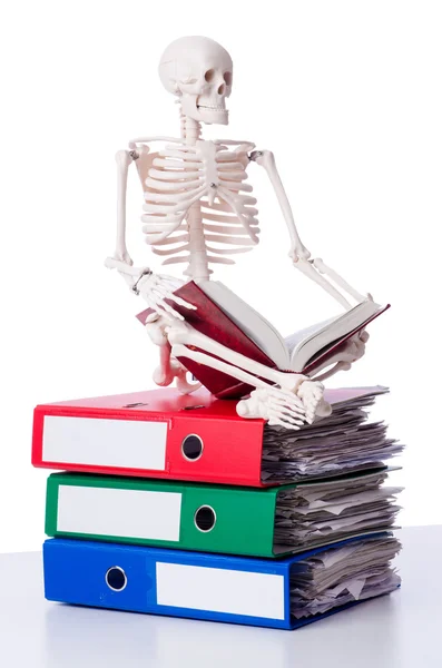 Skeleton with pile of files on white — Stock Photo, Image