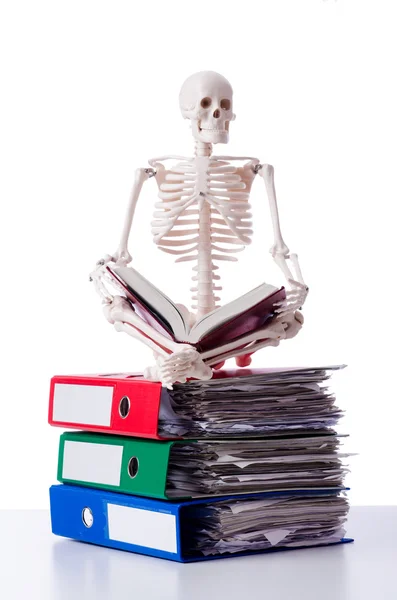 Skeleton with pile of files on white — Stock Photo, Image