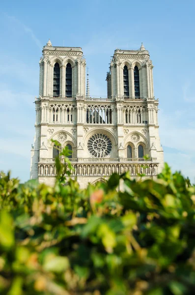 Notre Dame de Paris cathedral in summer day — Stock Photo, Image