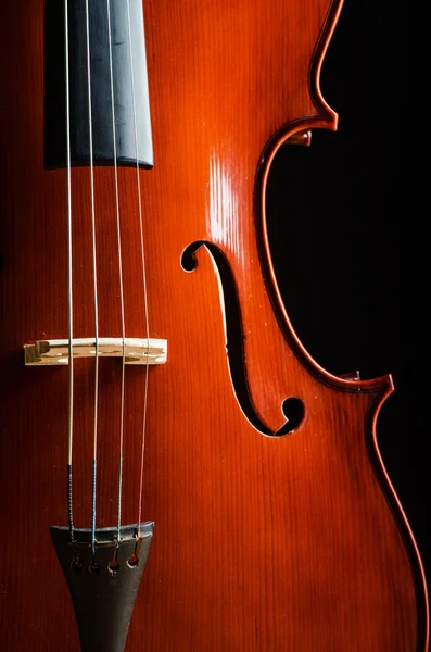 Violin in dark room - music concept — Stock Photo, Image